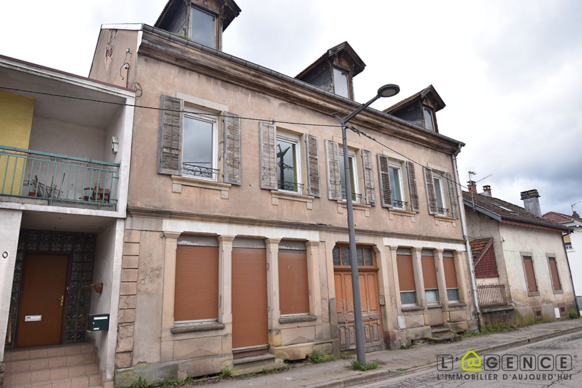 Immeuble Saint-die-des-vosges 13 pièce(s) 200 m2