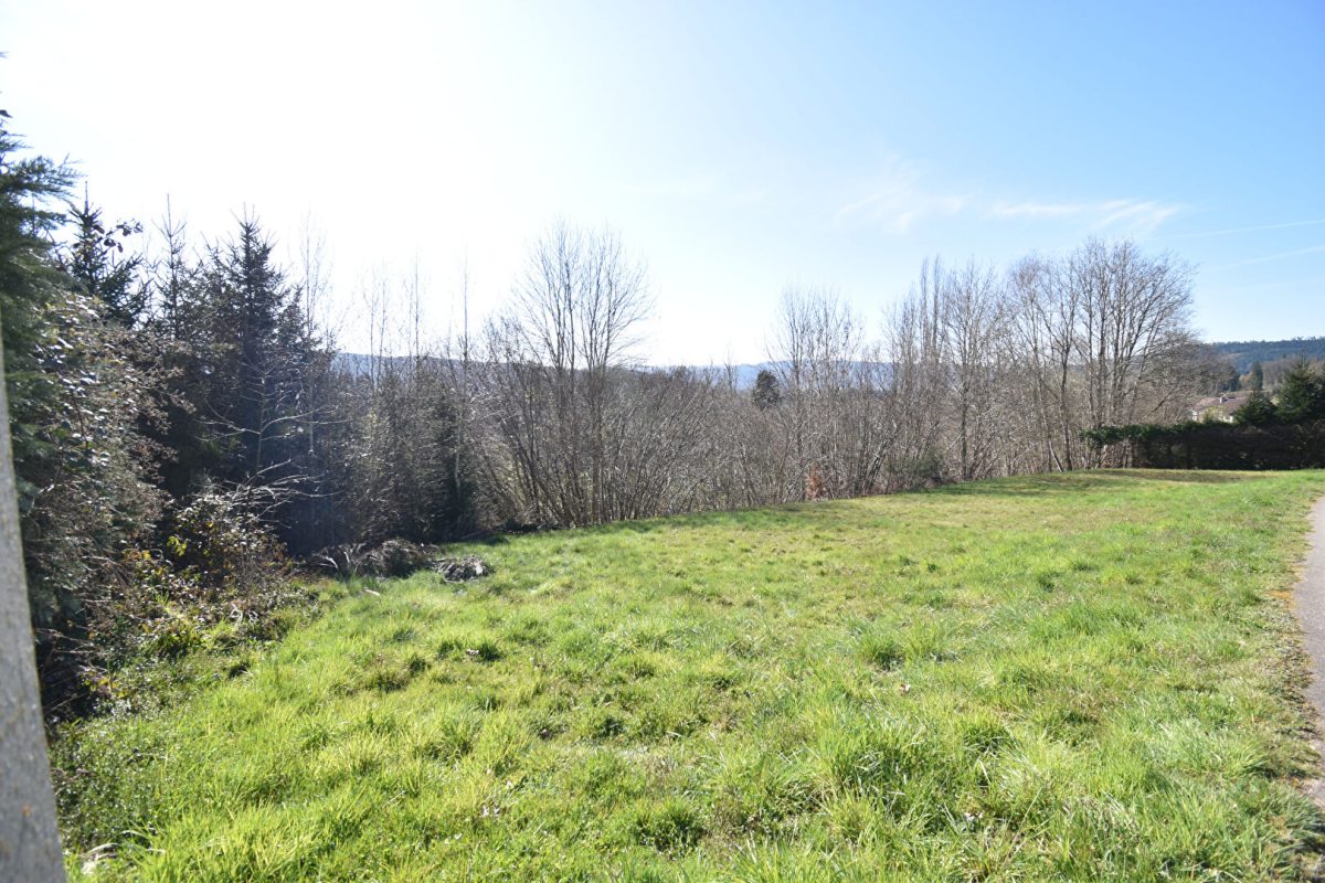 Terrain constructible Saint Leonard 930 m2