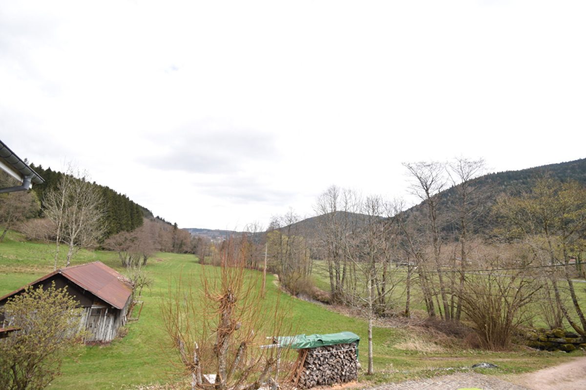 Maison 8 pièces 220 m2 avec grand terrain au calme