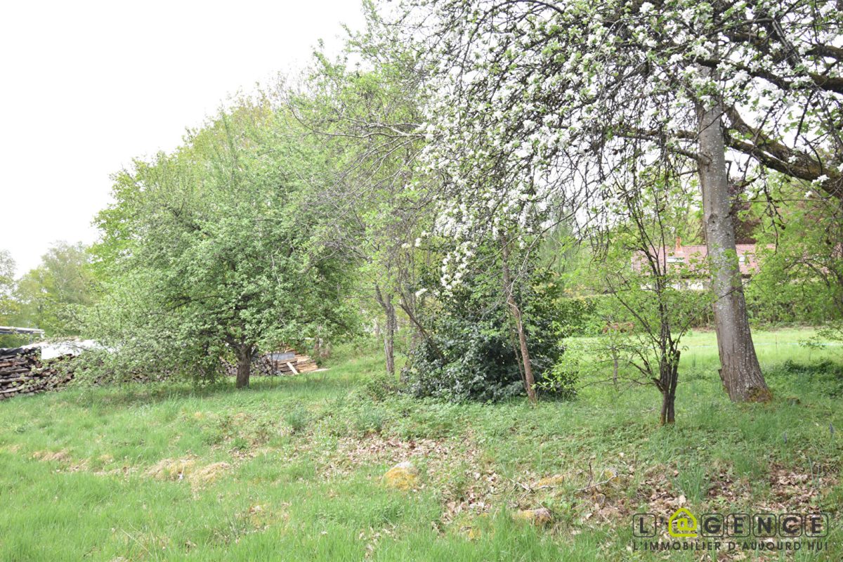 Terrain constructible Anould 1090 m2